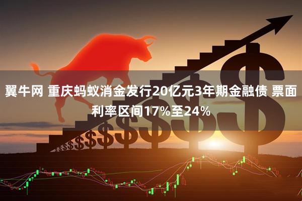 翼牛网 重庆蚂蚁消金发行20亿元3年期金融债 票面利率区间17%至24%
