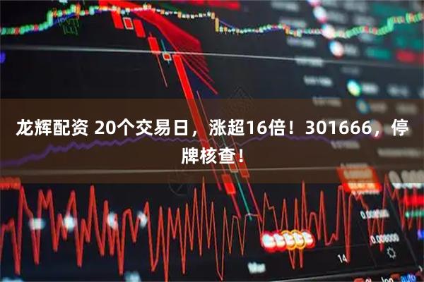 龙辉配资 20个交易日，涨超16倍！301666，停牌核查！