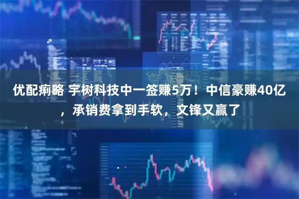 优配痢略 宇树科技中一签赚5万！中信豪赚40亿，承销费拿到手软，文锋又赢了