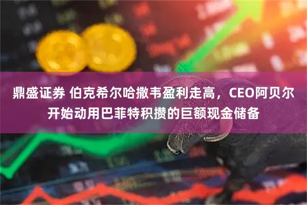鼎盛证券 伯克希尔哈撒韦盈利走高，CEO阿贝尔开始动用巴菲特积攒的巨额现金储备