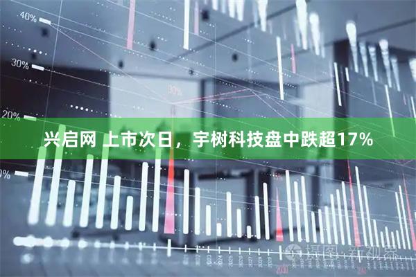 兴启网 上市次日，宇树科技盘中跌超17%