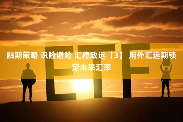 融期策略 识险避险 汇稳致远【3】 用外汇远期锁定未来汇率